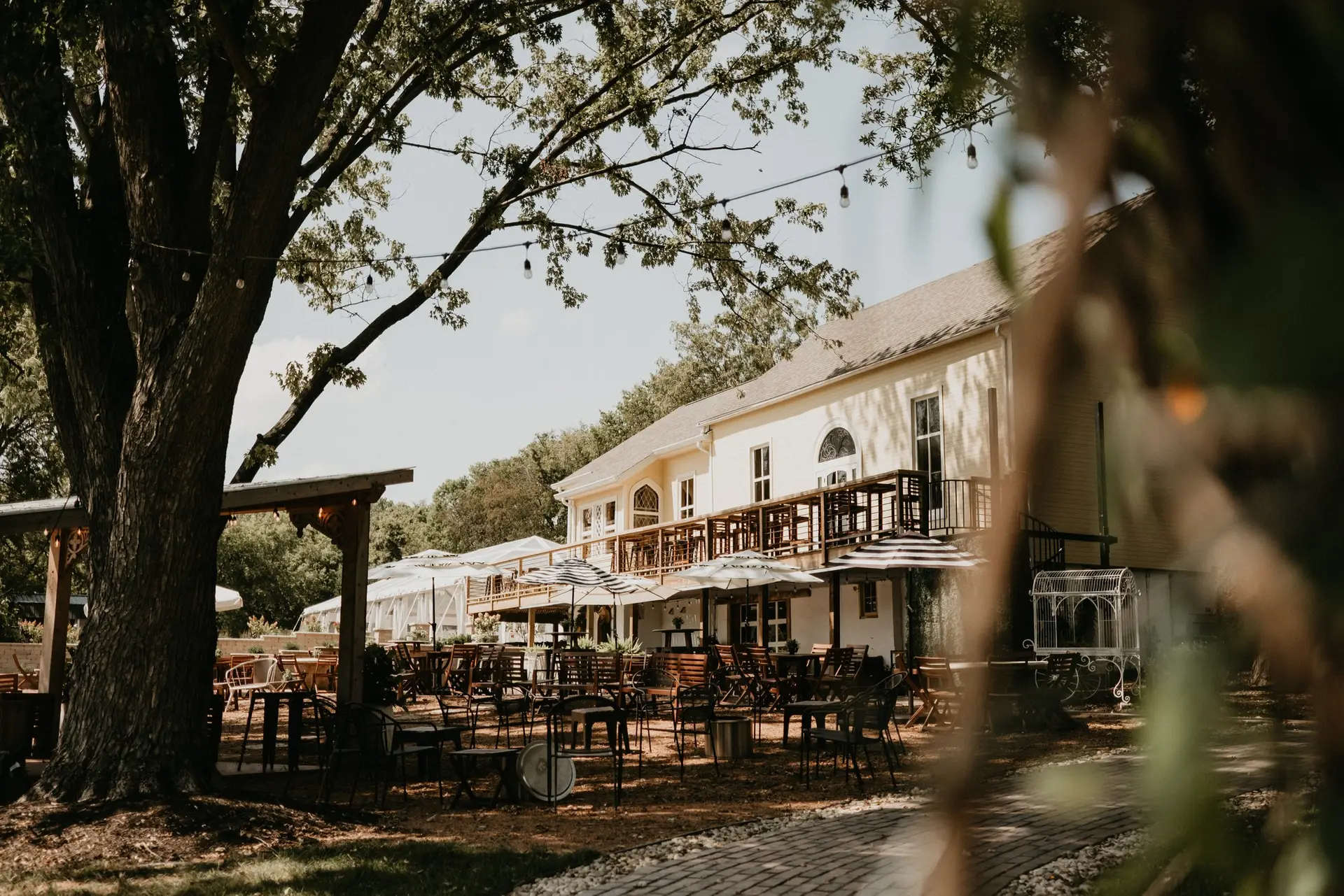 461432174_1213961396417074_4486893622890162028_n